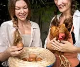 Nutrition First: Boosting Poultry Growth & Immunity Naturally